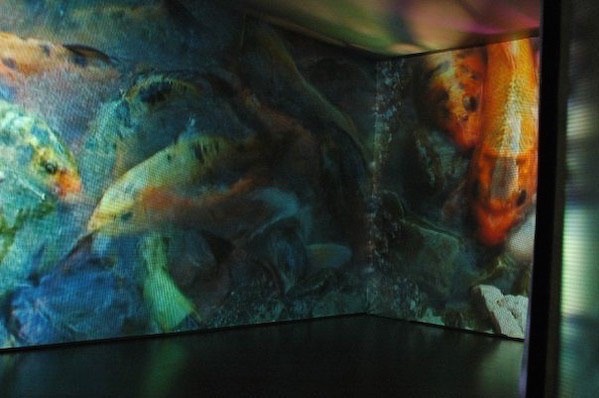 Art project partneship projection, Delphine Boel, Brussels